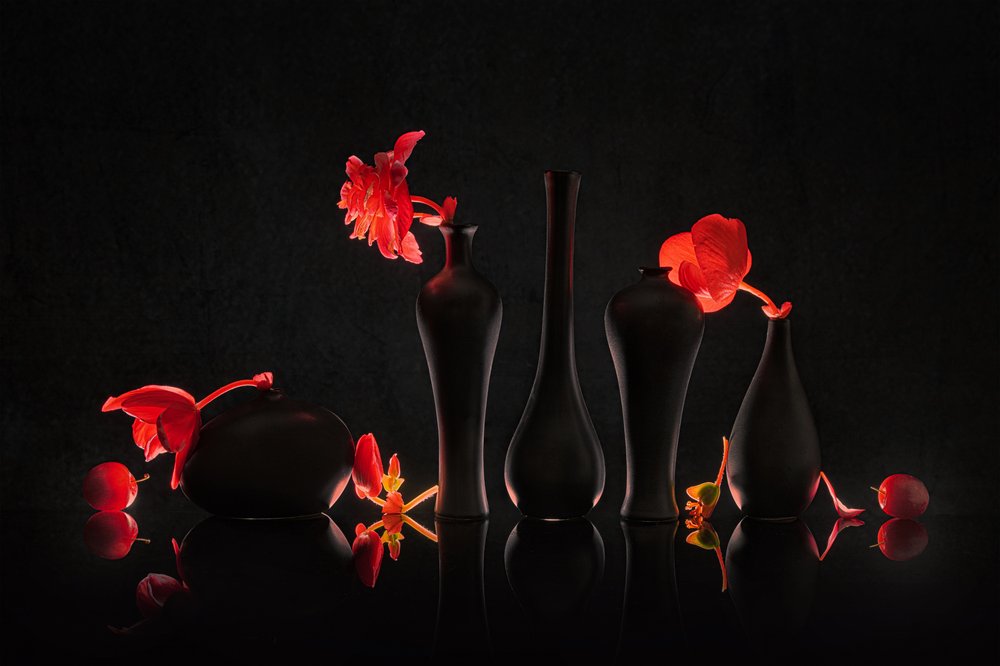 Fleurs cramoisies dans des vases noirs - Lydia Jacobs