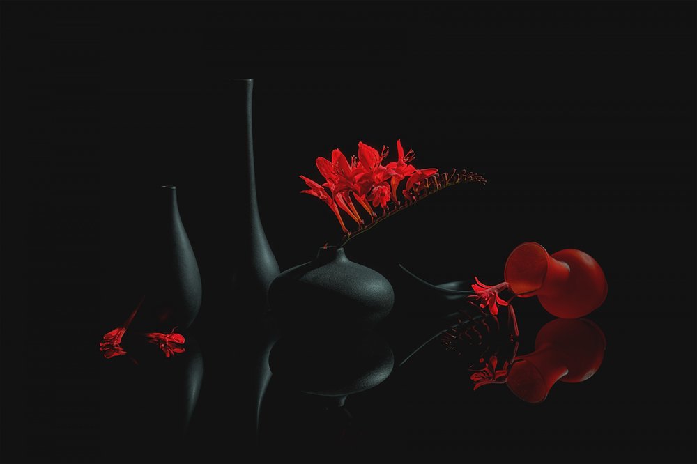 Fleurs cramoisies dans des vases noirs - Lydia Jacobs