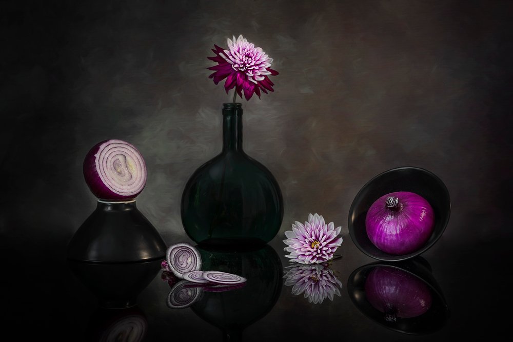 Dahlia noirs et oignons - Lydia Jacobs