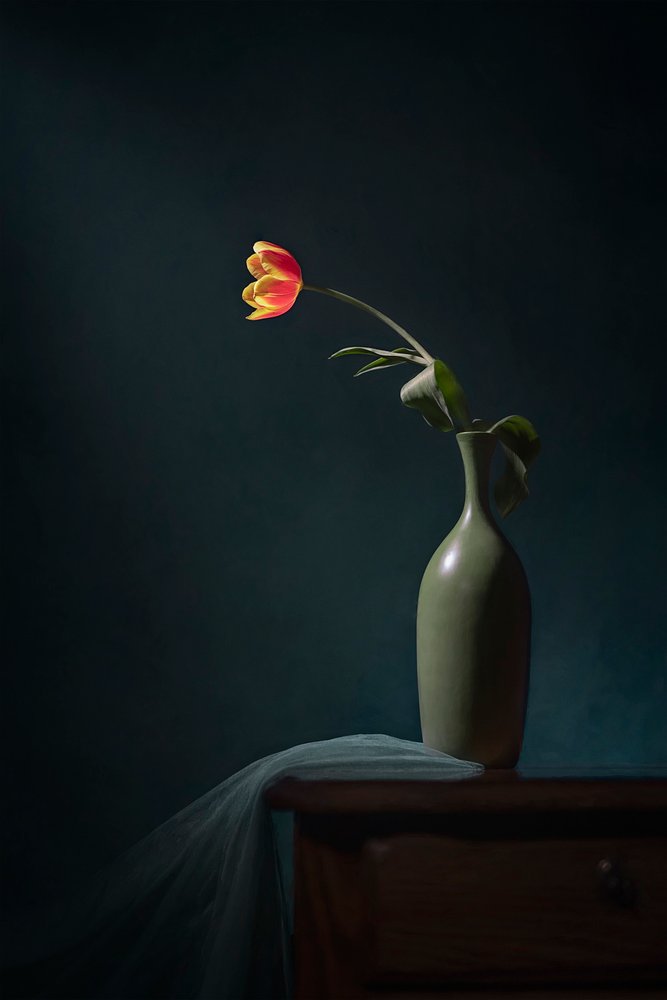Nature morte florale sombre - Lydia Jacobs