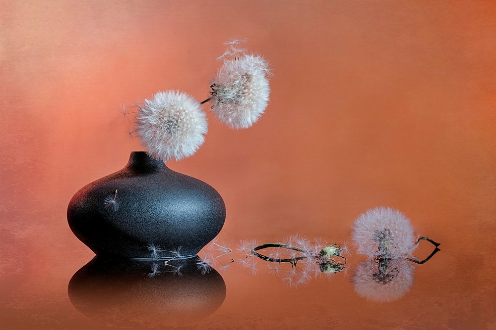 Nature morte délicate au pissenlit - Lydia Jacobs