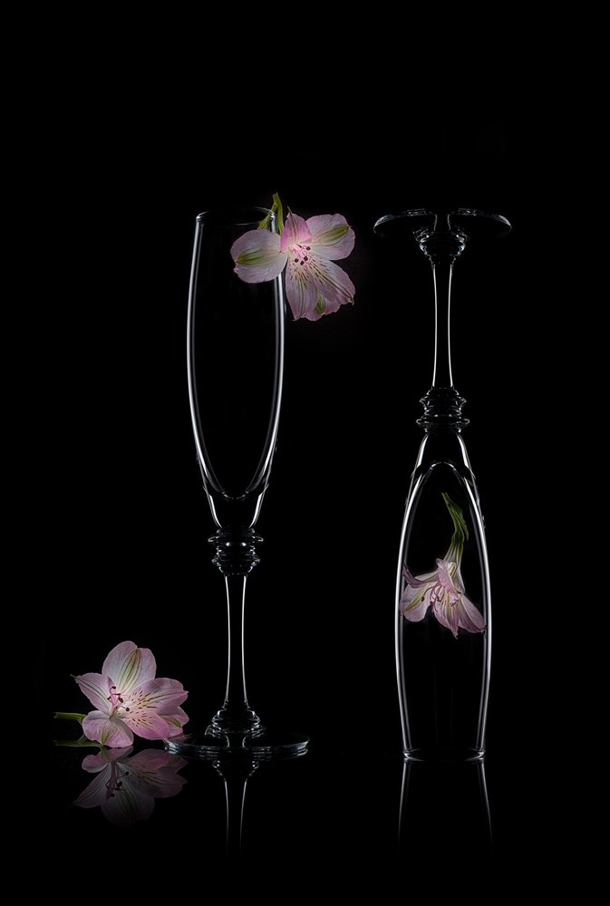 Élégance florale délicate - Lydia Jacobs