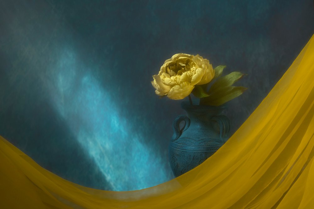 Pivoine jaune spectaculaire - Lydia Jacobs