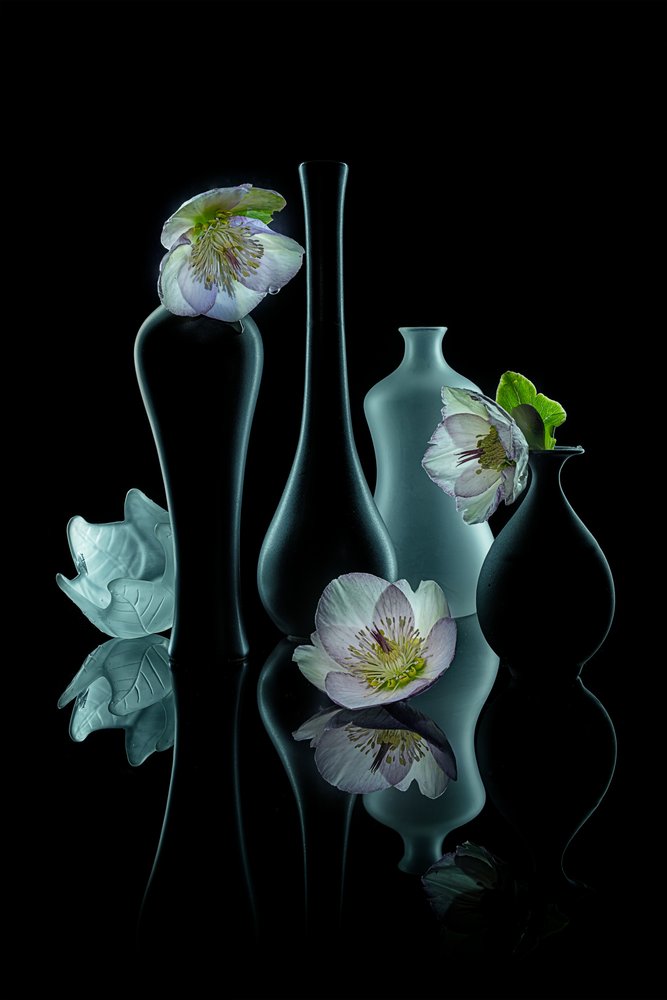 Éclat floral raffiné - Lydia Jacobs