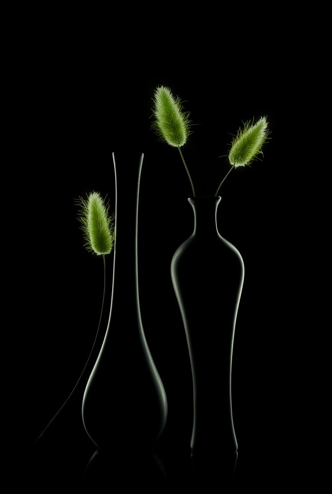 Nature morte verte élégante - Lydia Jacobs