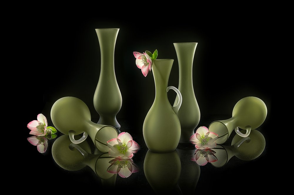 Vases élégants et fleurs - Lydia Jacobs