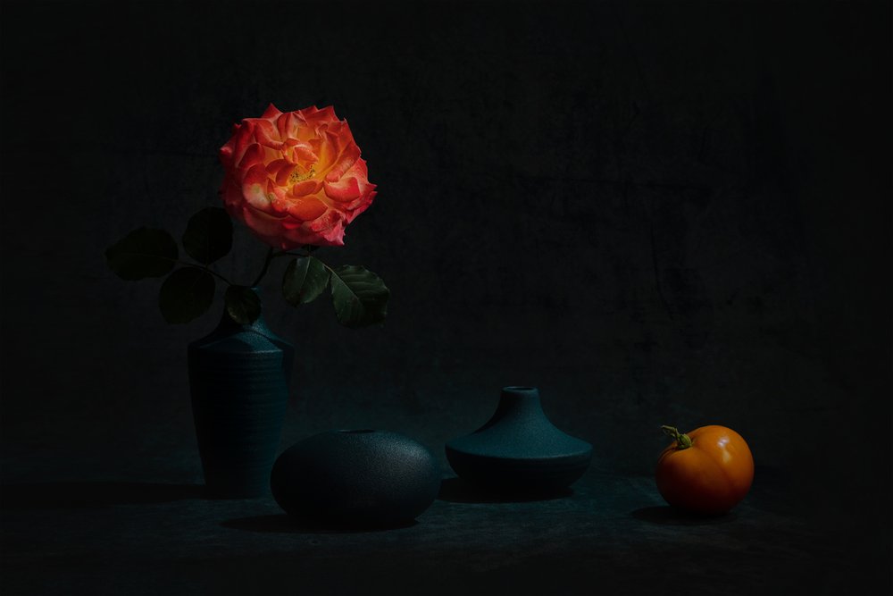 Rose orange éclatante - Lydia Jacobs