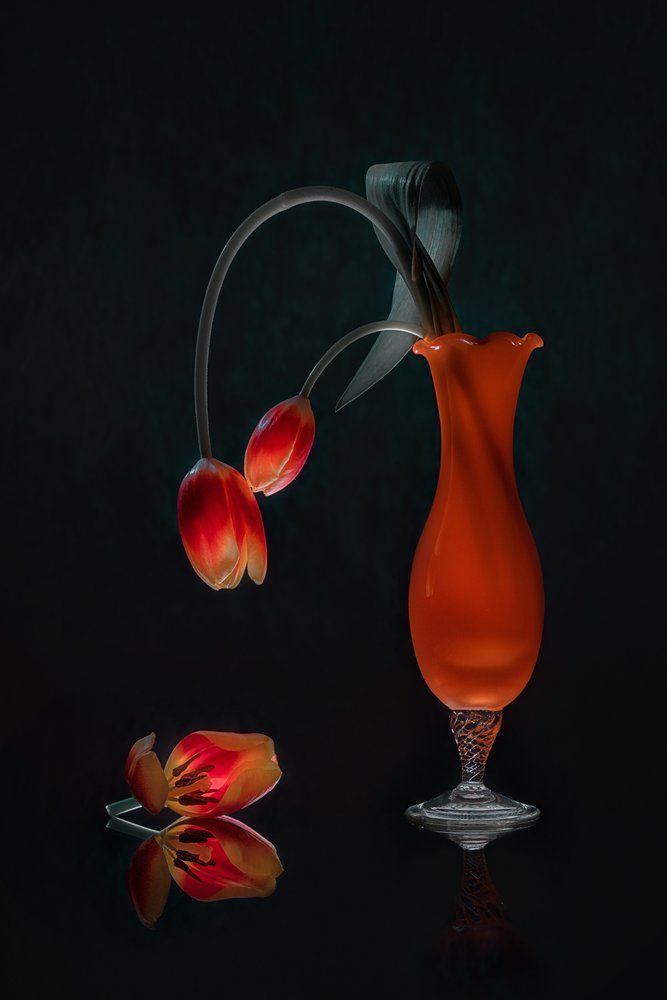 Nature morte aux tulipes lumineuses - Lydia Jacobs