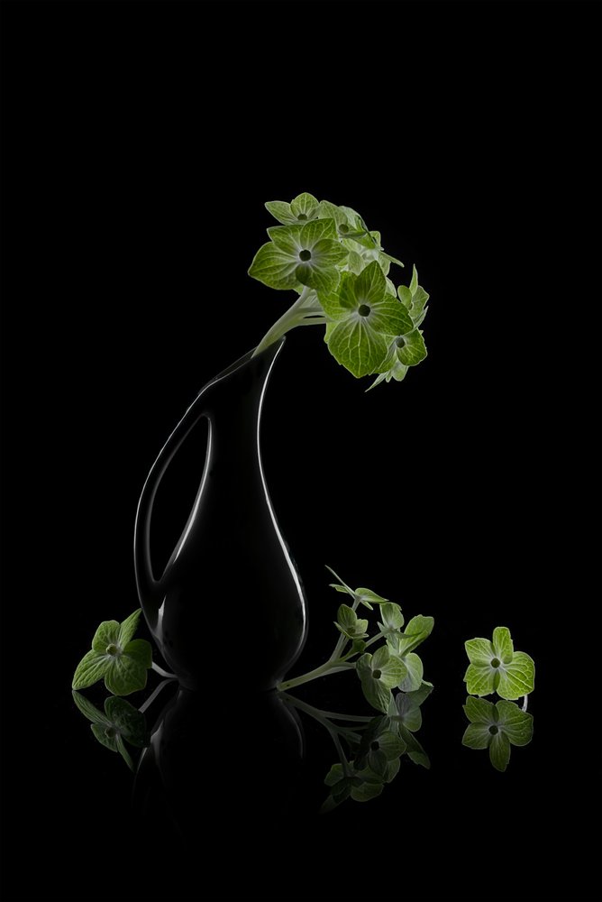 Réflexion sur les fleurs vertes - Lydia Jacobs