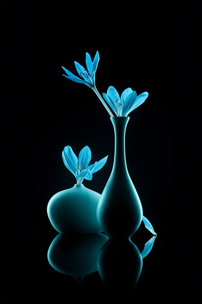 Nature morte bleue lumineuse - Lydia Jacobs