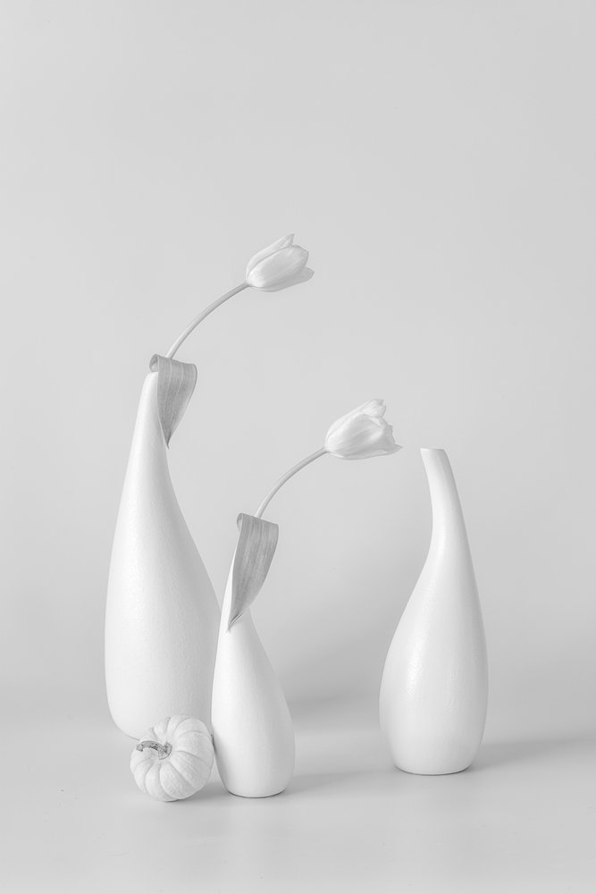 Tulipes blanches minimalistes - Lydia Jacobs