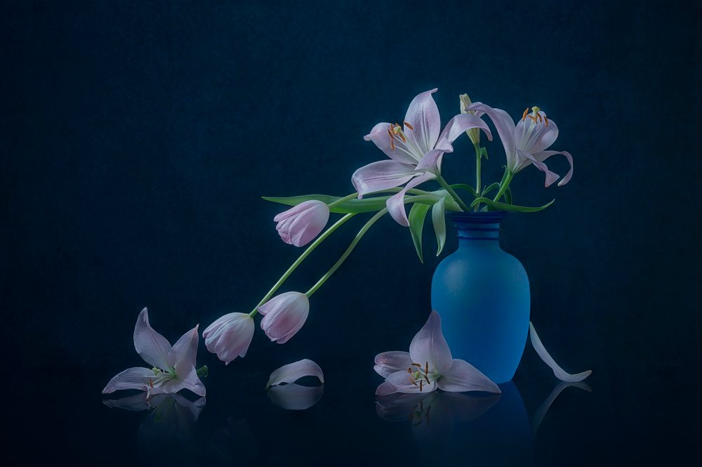 Lys et tulipes mélancoliques - Lydia Jacobs