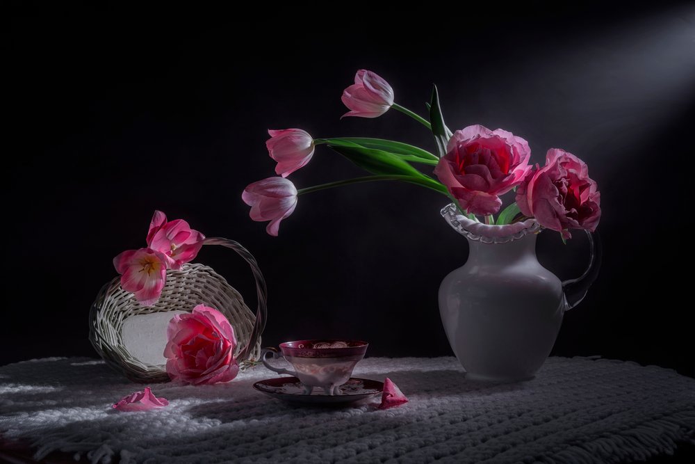 Tulipes roses « Moody » - Lydia Jacobs