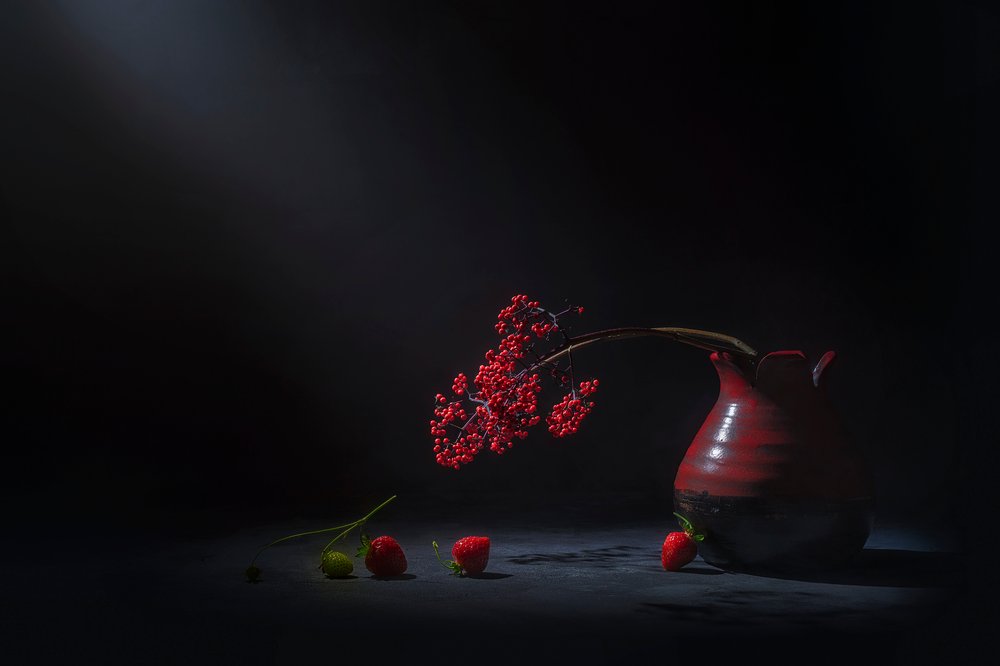 Baies rouges mélancoliques - Lydia Jacobs