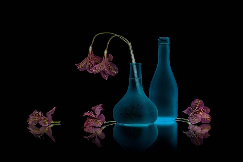 Fleurs roses, lueur bleue - Lydia Jacobs