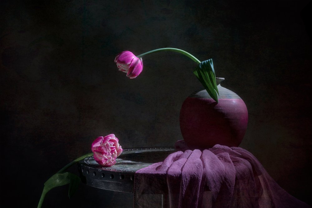 Nature morte aux tulipes roses - Lydia Jacobs