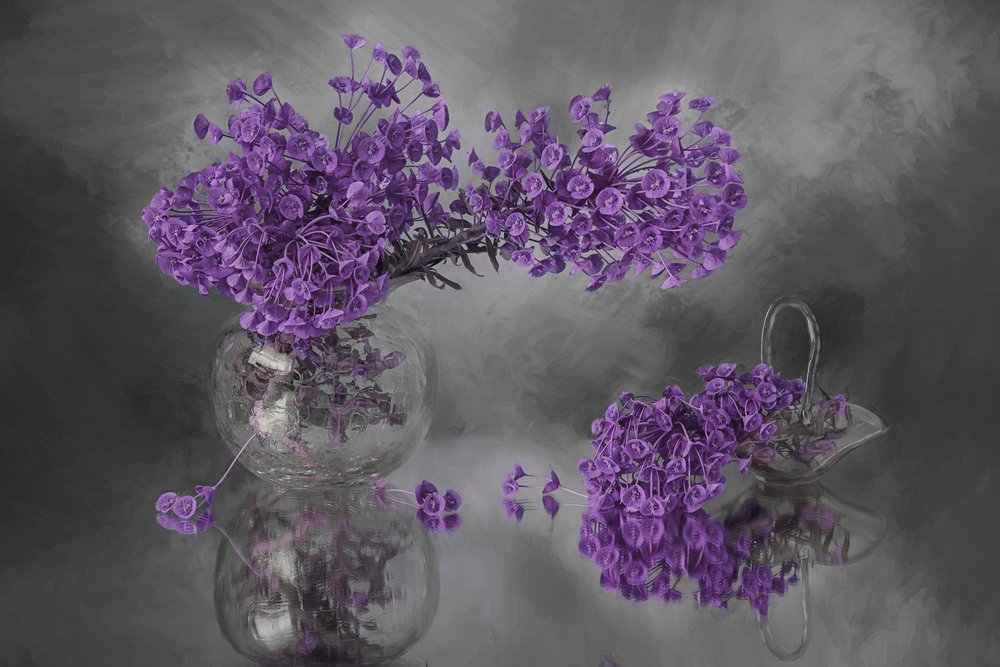 Reflet des fleurs violettes - Lydia Jacobs