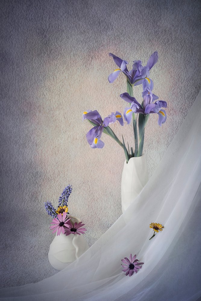 Nature morte aux iris violets - Lydia Jacobs