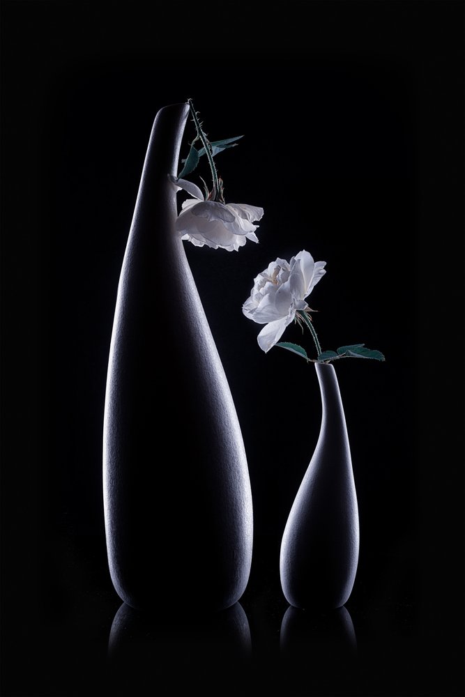 Vases « Shadow » – Roses blanches - Lydia Jacobs
