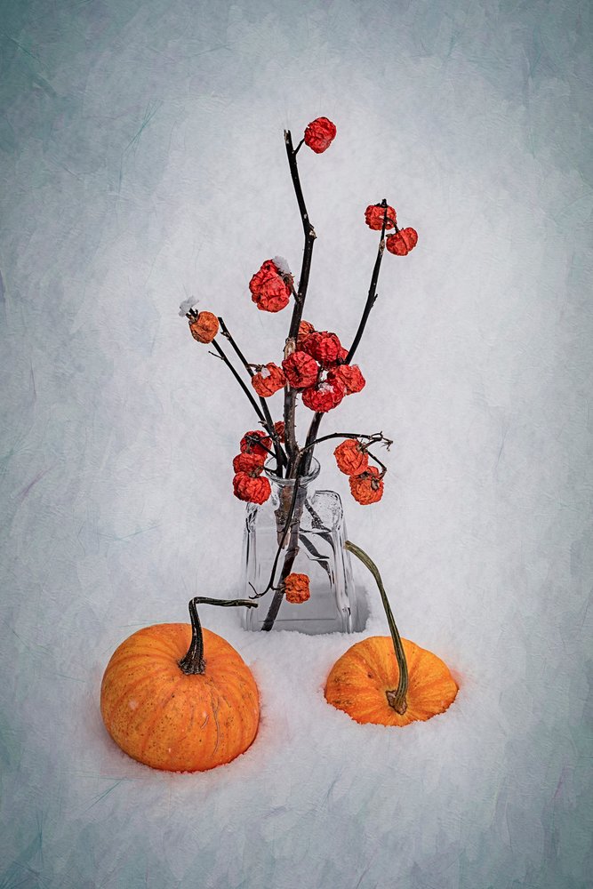 Nature morte « Récolte enneigée » - Lydia Jacobs
