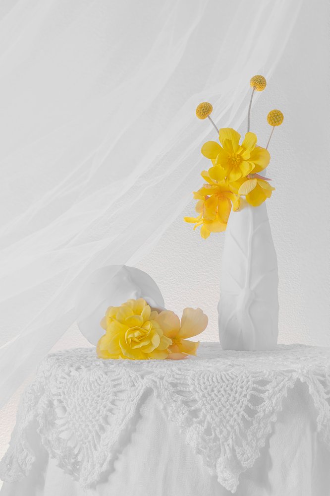 Nature morte florale aux tons jaunes doux - Lydia Jacobs