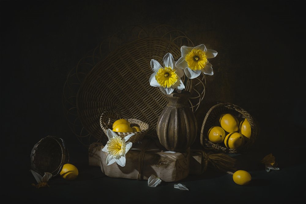 Jonquilles printanières et citrons - Lydia Jacobs