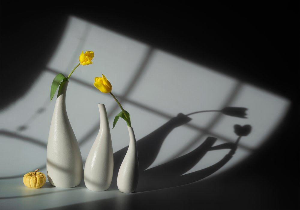 Tulipes ensoleillées et ombres - Lydia Jacobs