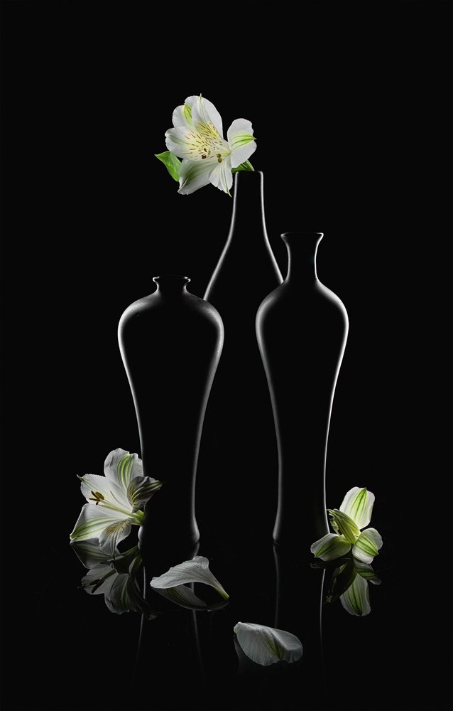 Fleurs blanches, vases sombres - Lydia Jacobs