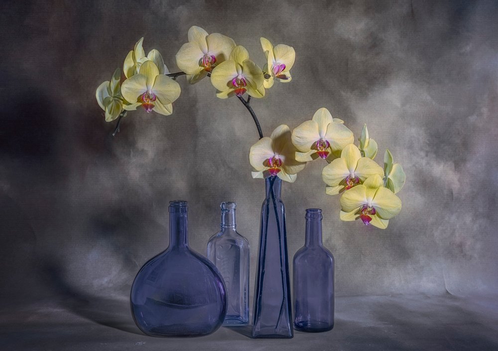 Orchidées jaunes, verre bleu - Lydia Jacobs