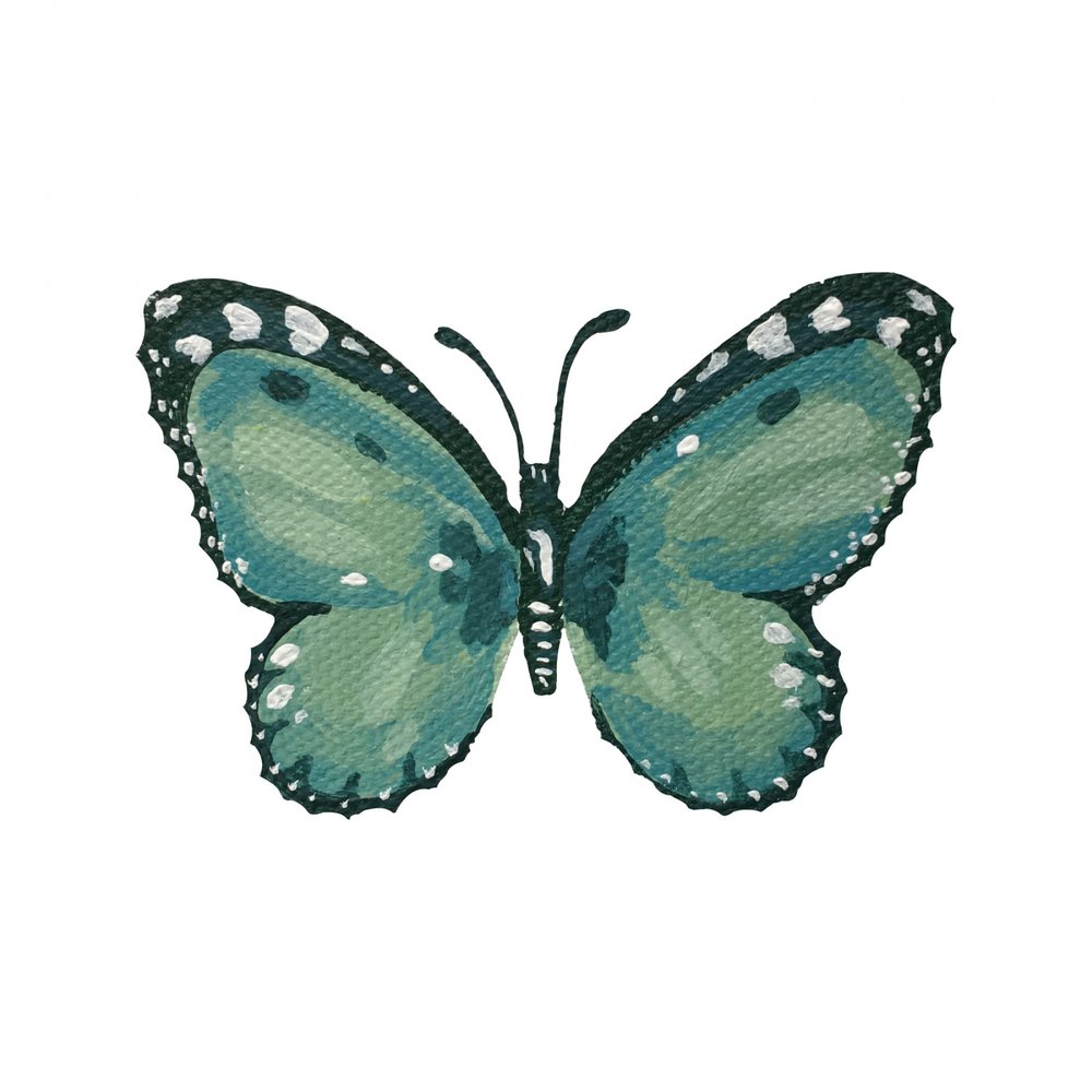 Élégant papillon bleu sarcelle - Madison Phipps