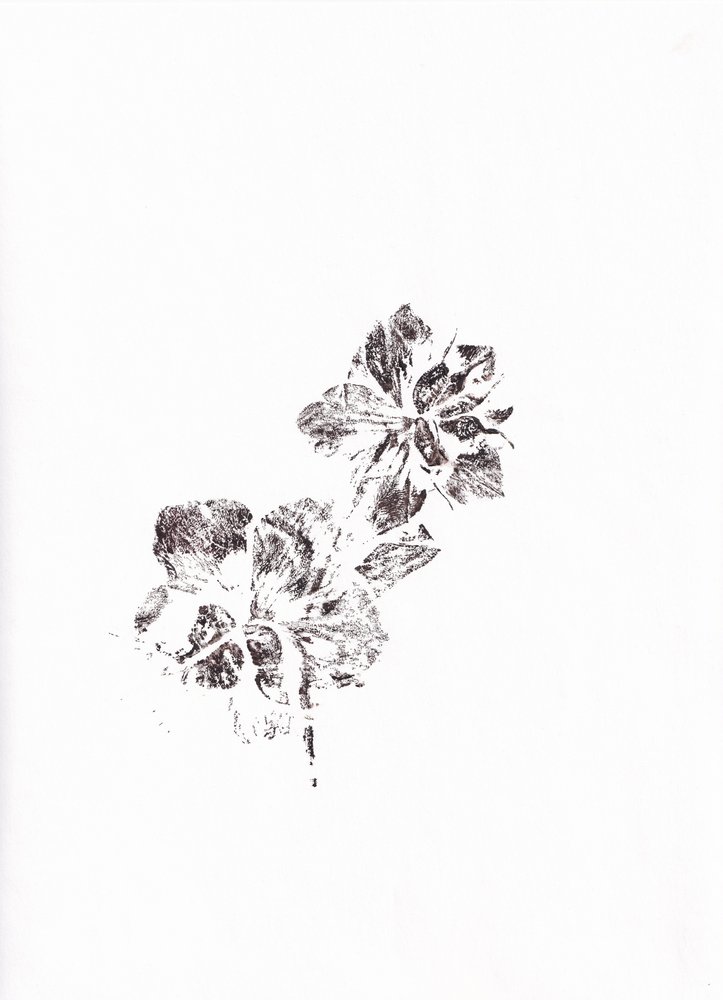  - Maira Ribena