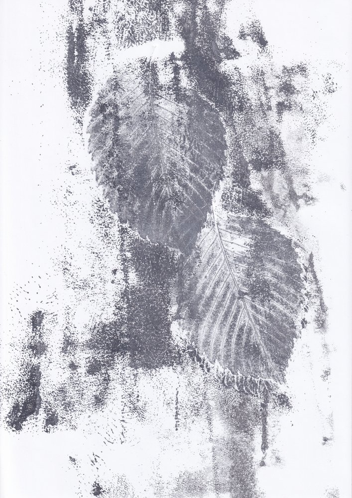 Textures abstraites de feuilles - Maira Ribena