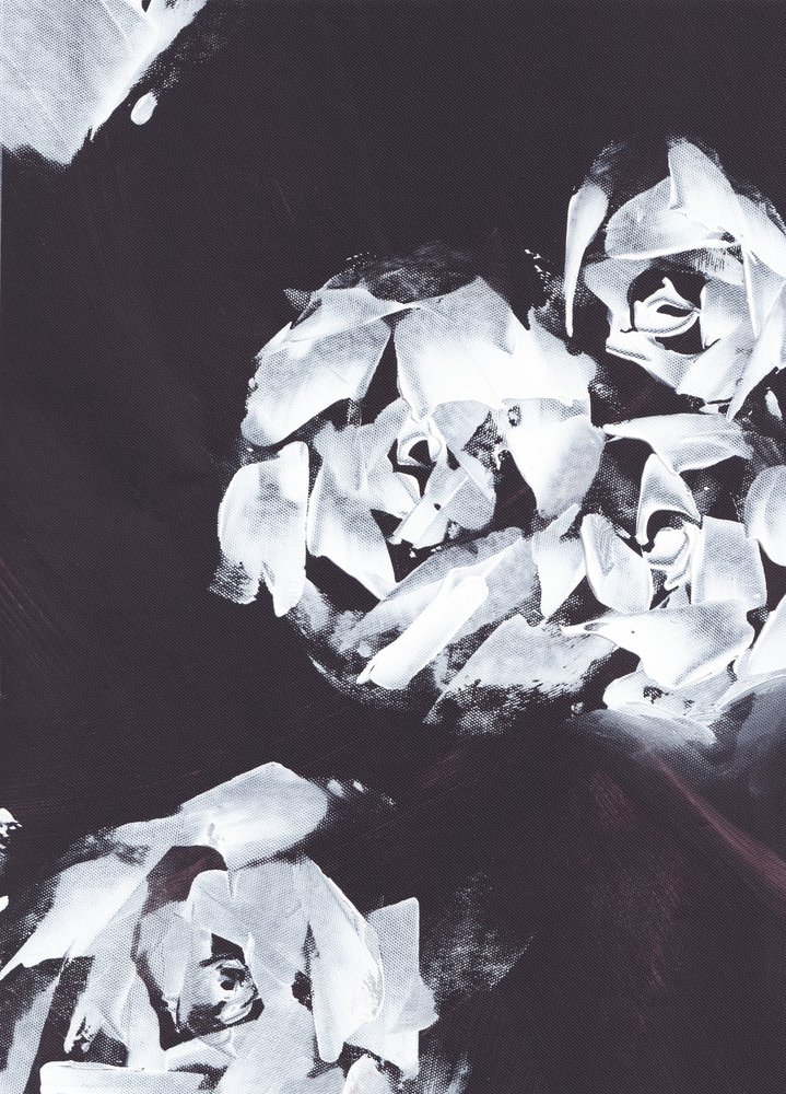 Motif floral blanc abstrait - Maira Ribena