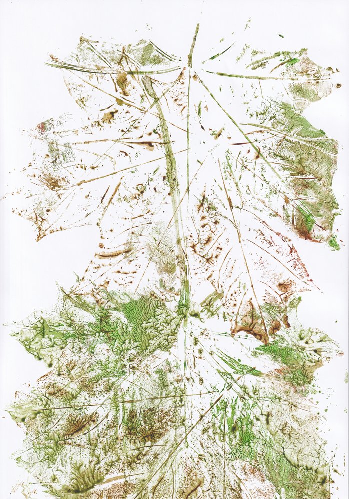 Impressions de feuilles d