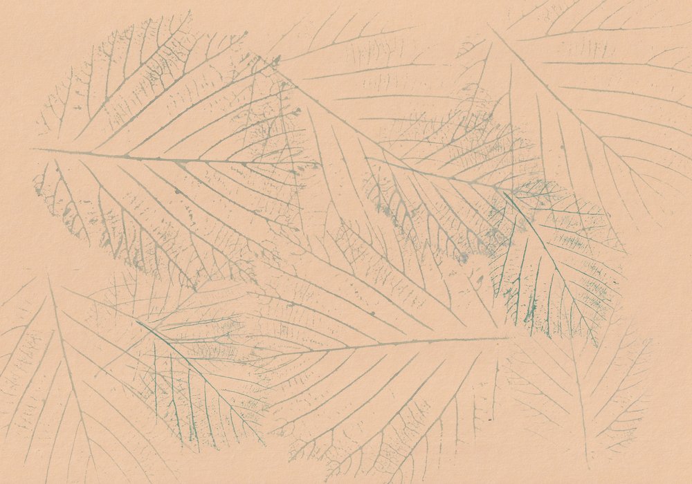 Motif de feuilles végétales - Maira Ribena