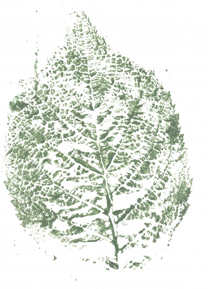 Imprimé botanique à feuilles - Maira Ribena