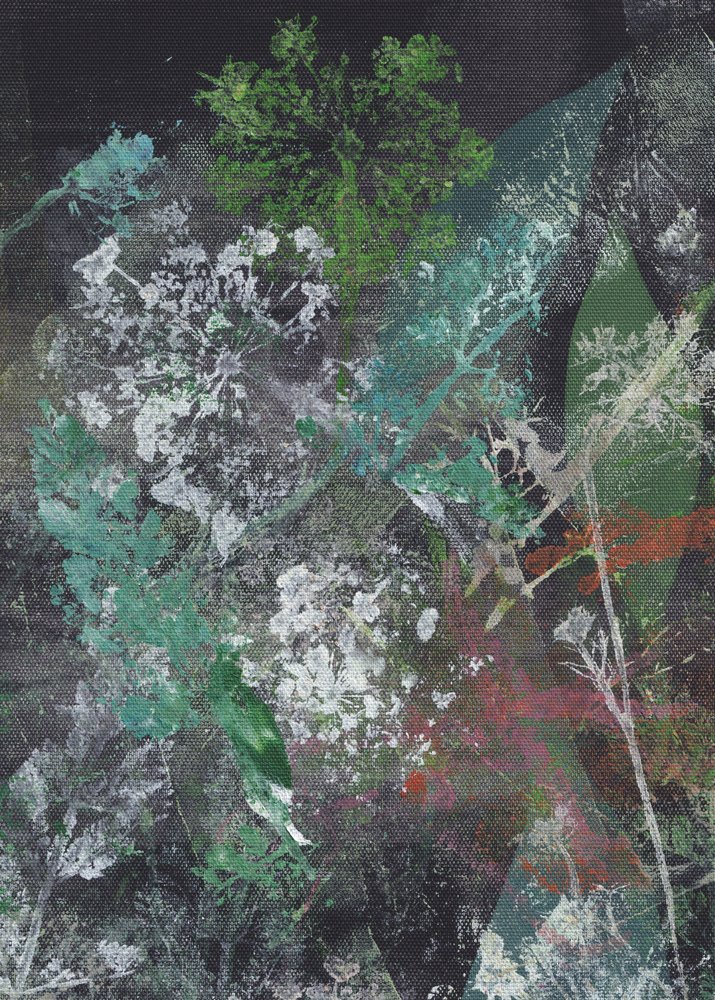 Jardin botanique sombre - Maira Ribena