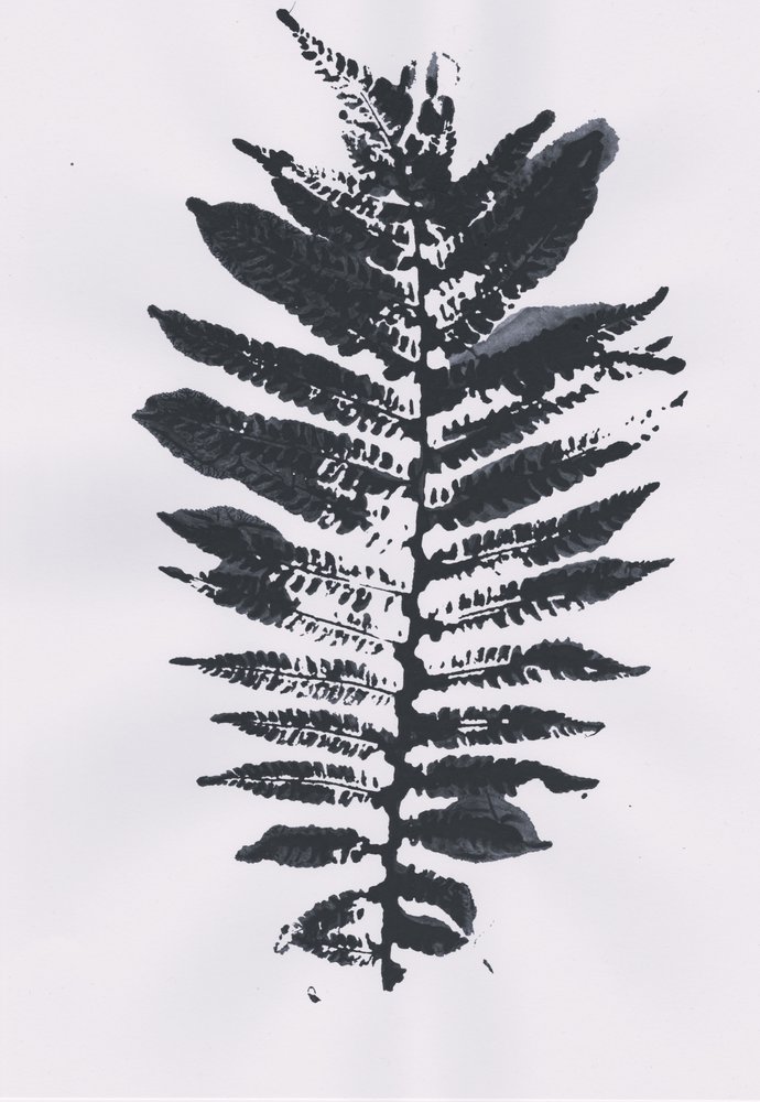 Feuille d