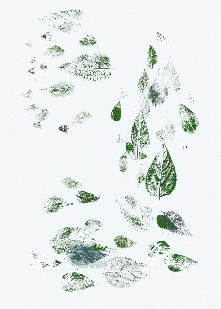 Feuilles vertes qui tombent - Maira Ribena