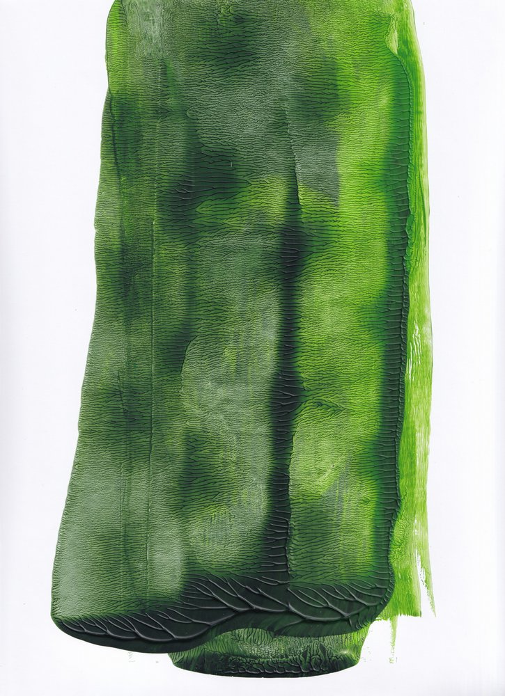 Fluid Green - Résumé - Maira Ribena