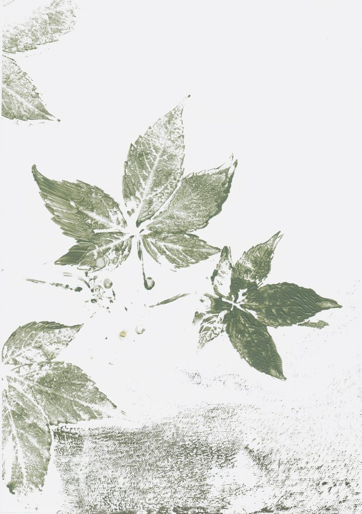 Impressions de feuilles vertes - Maira Ribena