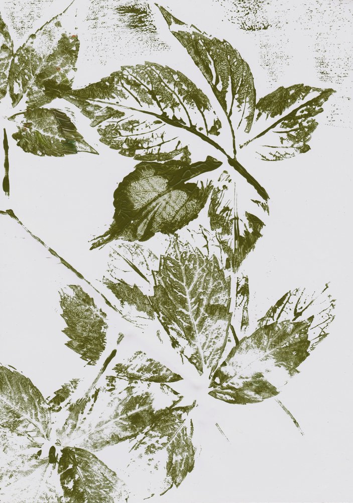 Imprimés feuilles vertes - Maira Ribena