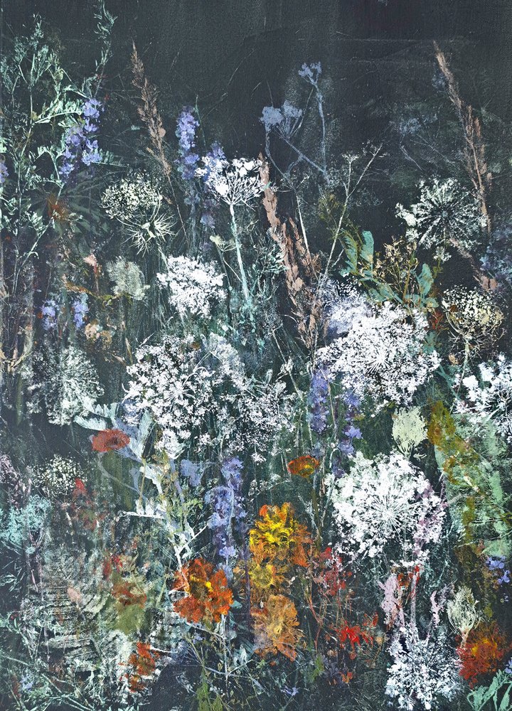 Fleur sauvage de minuit - Maira Ribena