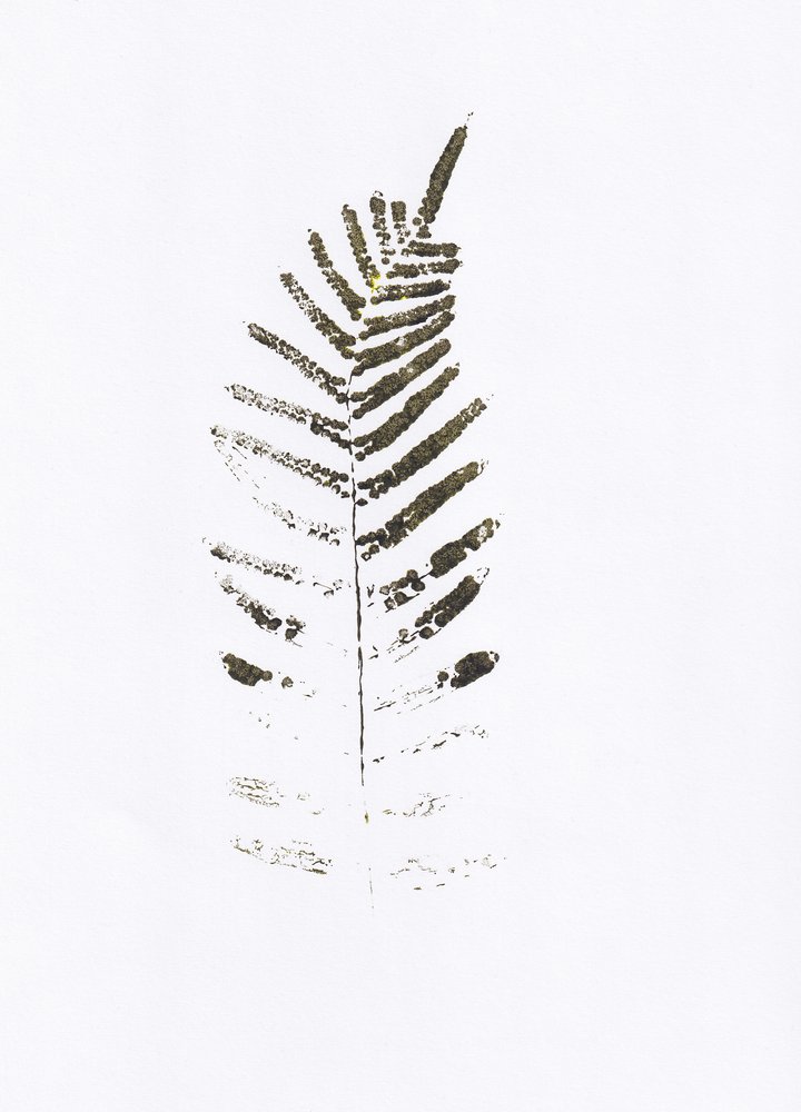  - Maira Ribena