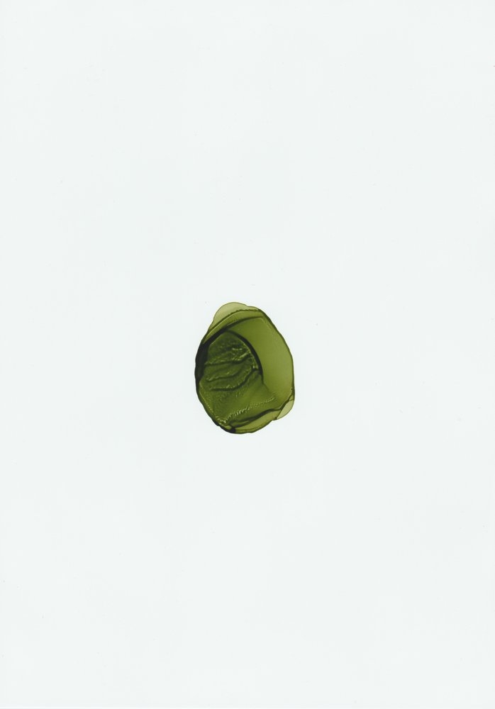 Fluide vert bio - Maira Ribena