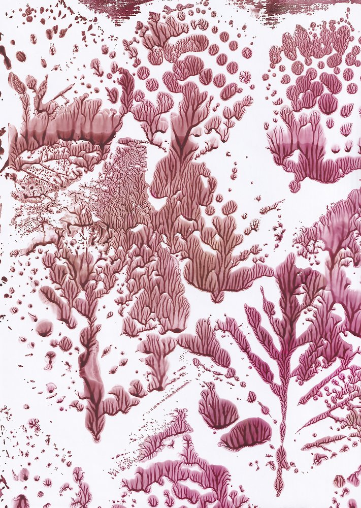 Flux marron bio - Maira Ribena