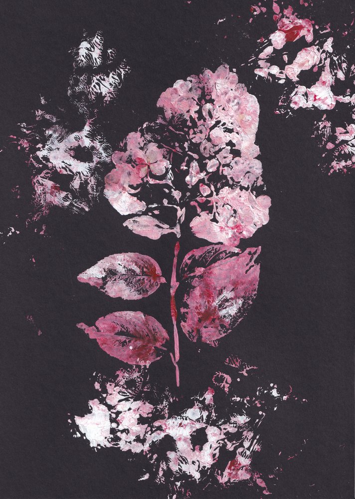  - Maira Ribena
