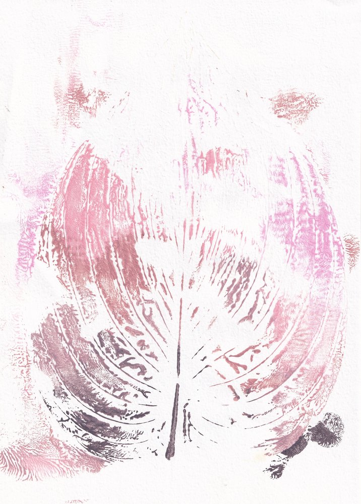  - Maira Ribena
