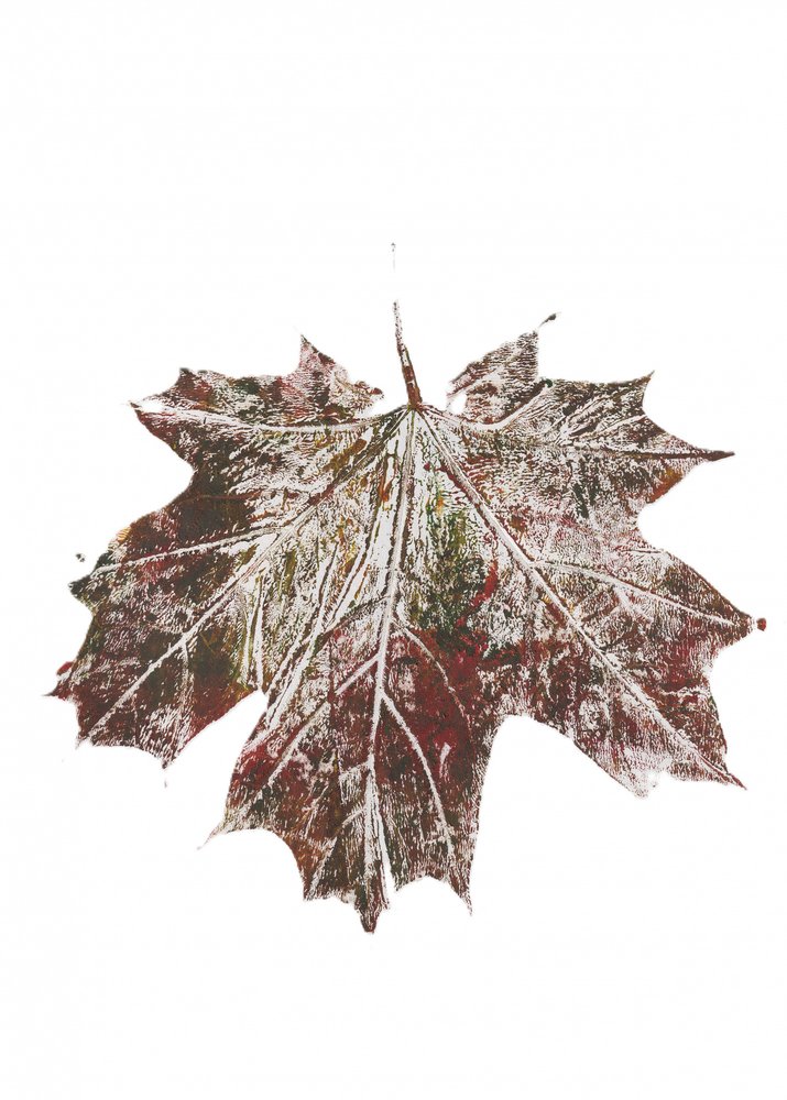Feuille d