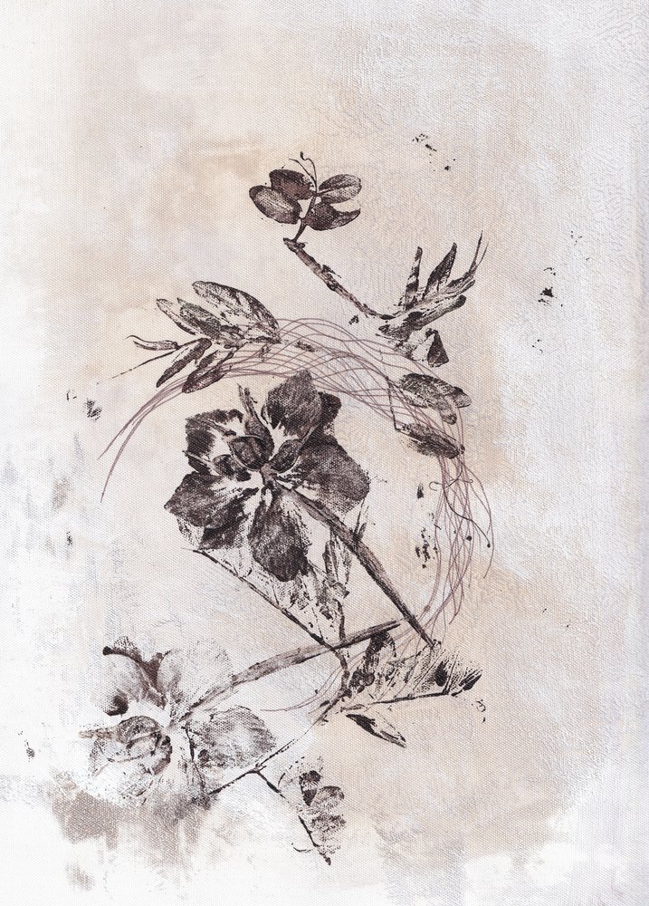  - Maira Ribena
